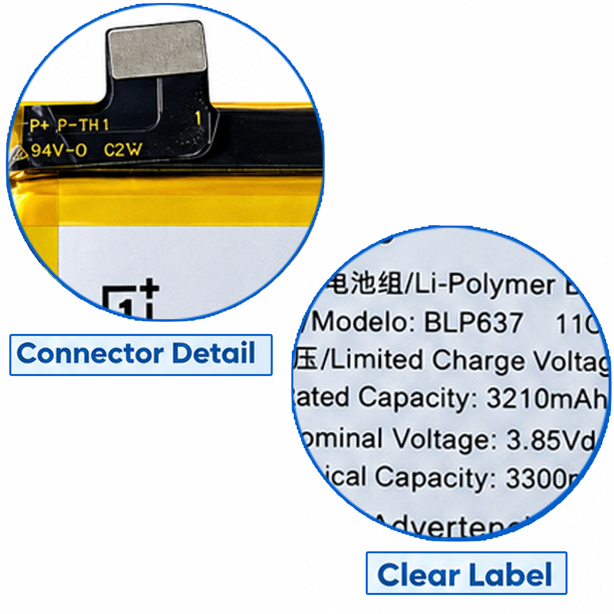 BLP637 1 copy 2