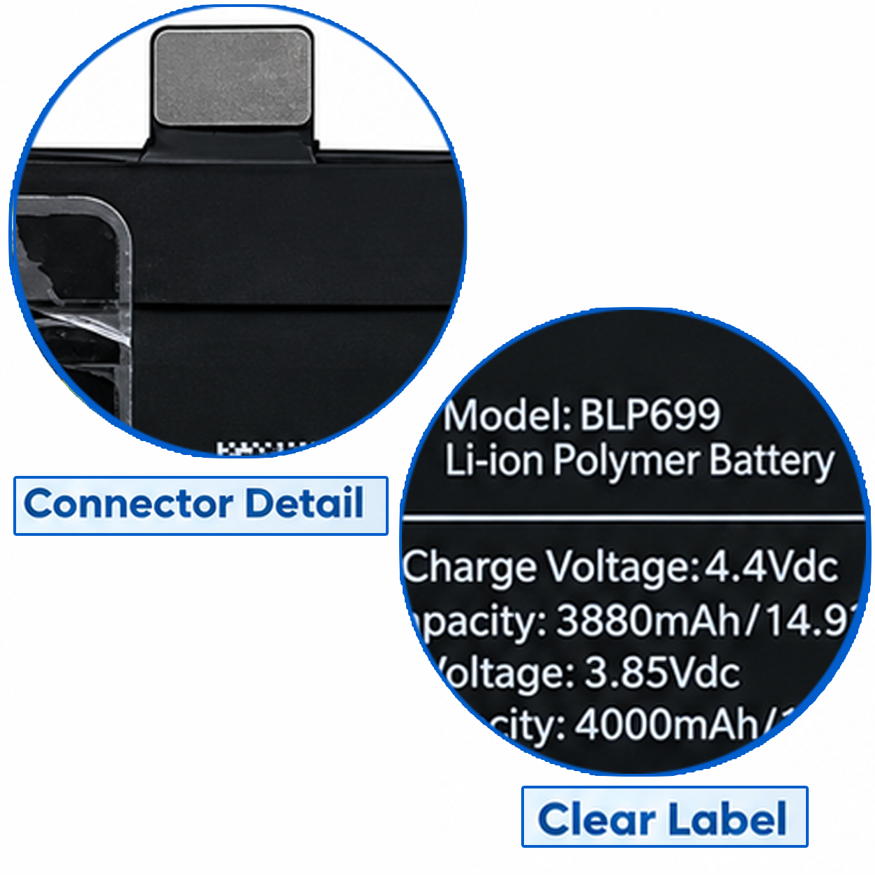 BLP699 copy 2